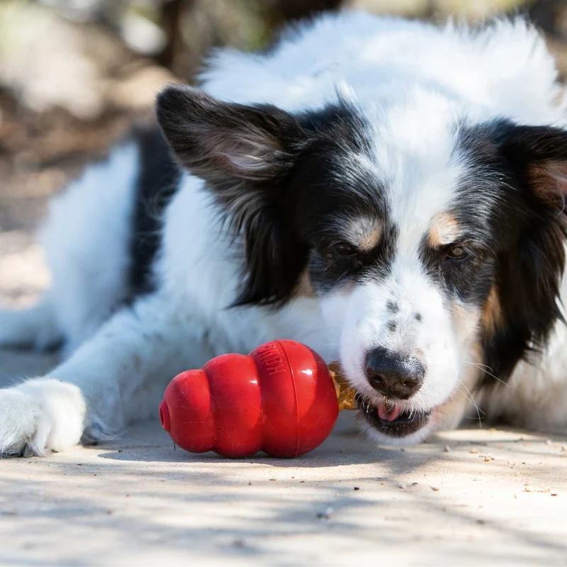 Hundesnack KONG® Snacks™