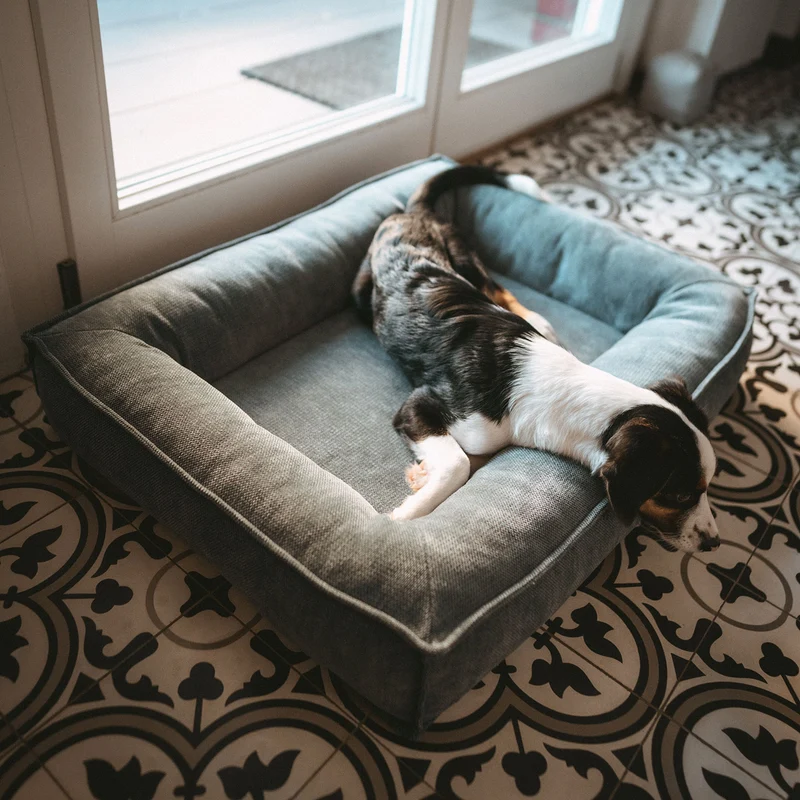 Orthopädisches/Ergonomisches Hundebett Melun