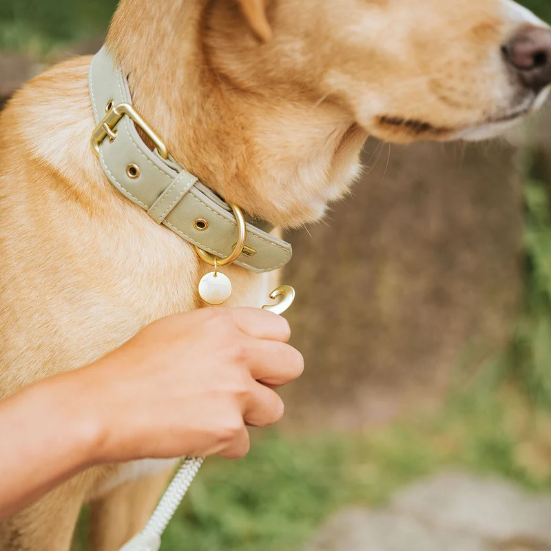 Halsband Malibu