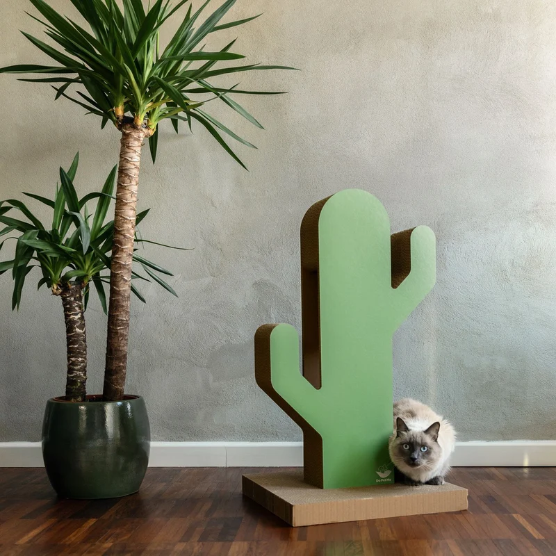 Kratzbaum Cactus