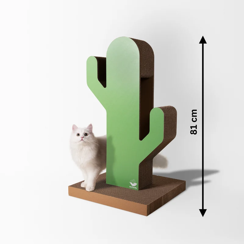 Kratzbaum Cactus