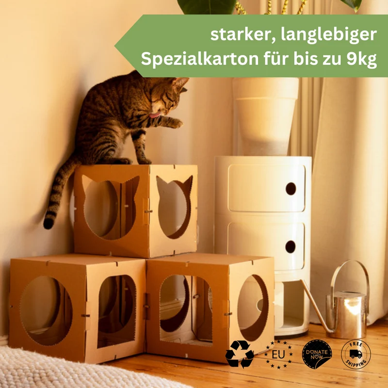 Katzenhaus Kitten Castle - natur