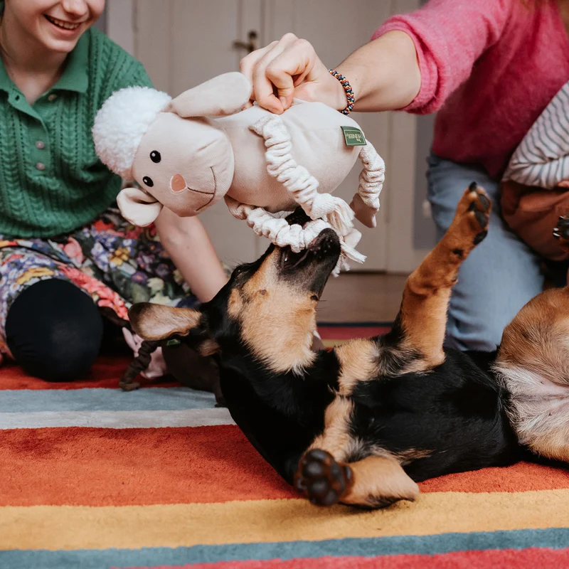 Hundespielzeug Alma