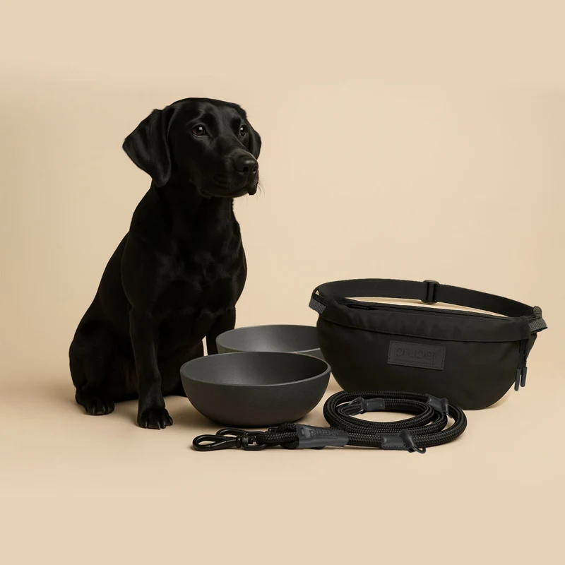 Starter-Set "Hund"