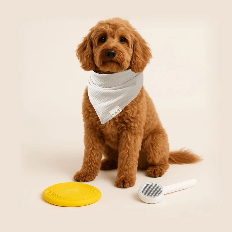 Geschenk-Set "Hund"
