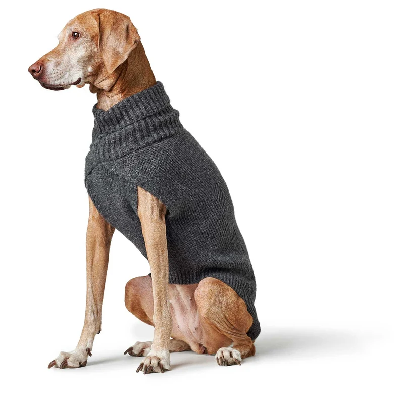 Hundepullover Genf