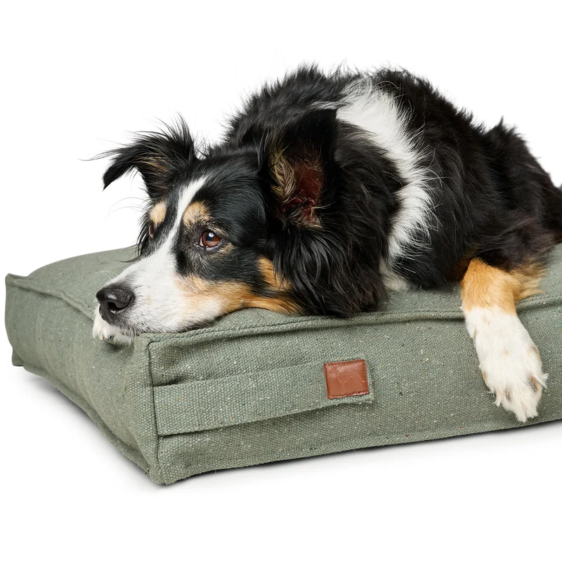 Recycling Hundekissen Belluno