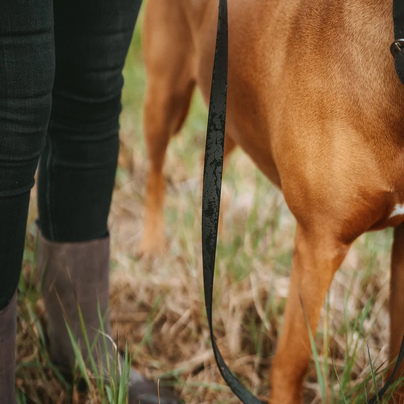 Stufenlos verstellbare Führleine Wolmar BioThane® x Leder