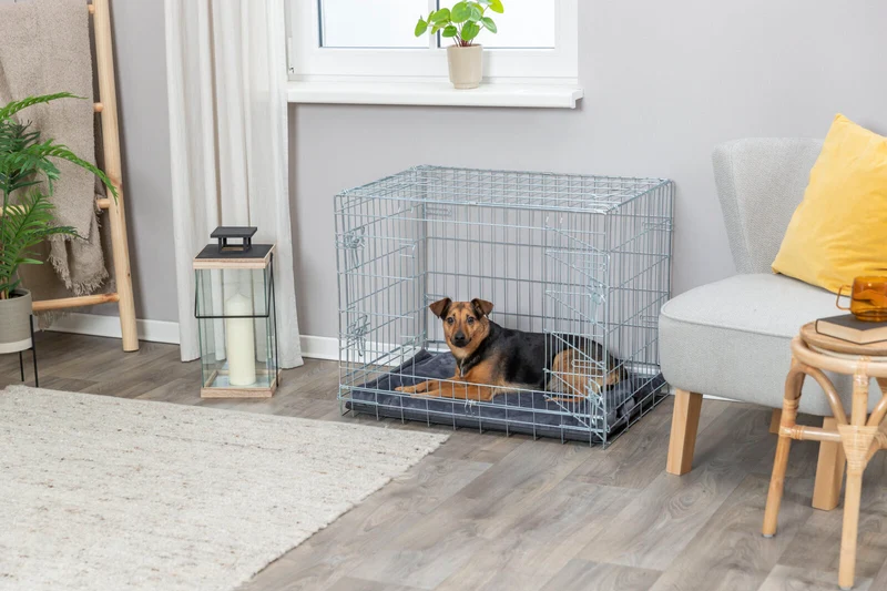 Hundebox Home