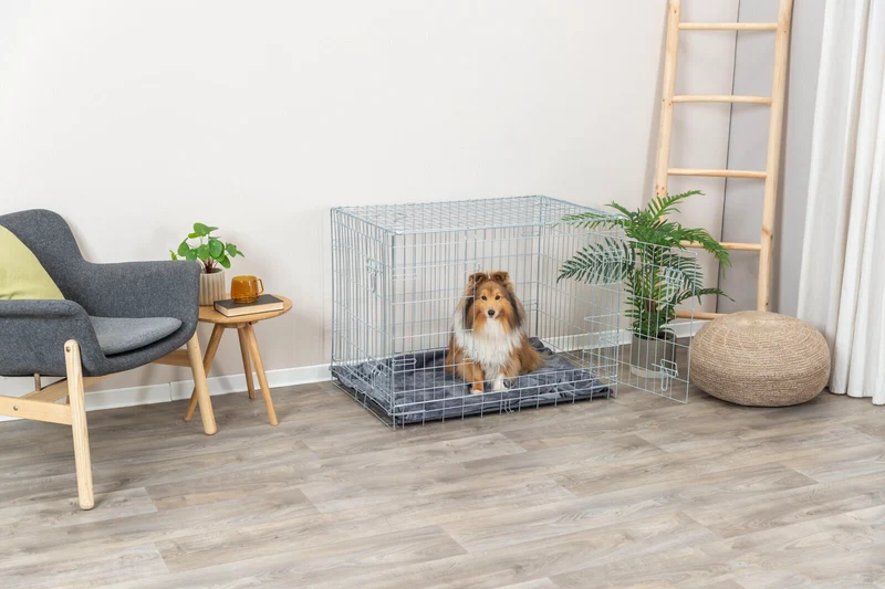 Hundebox Home
