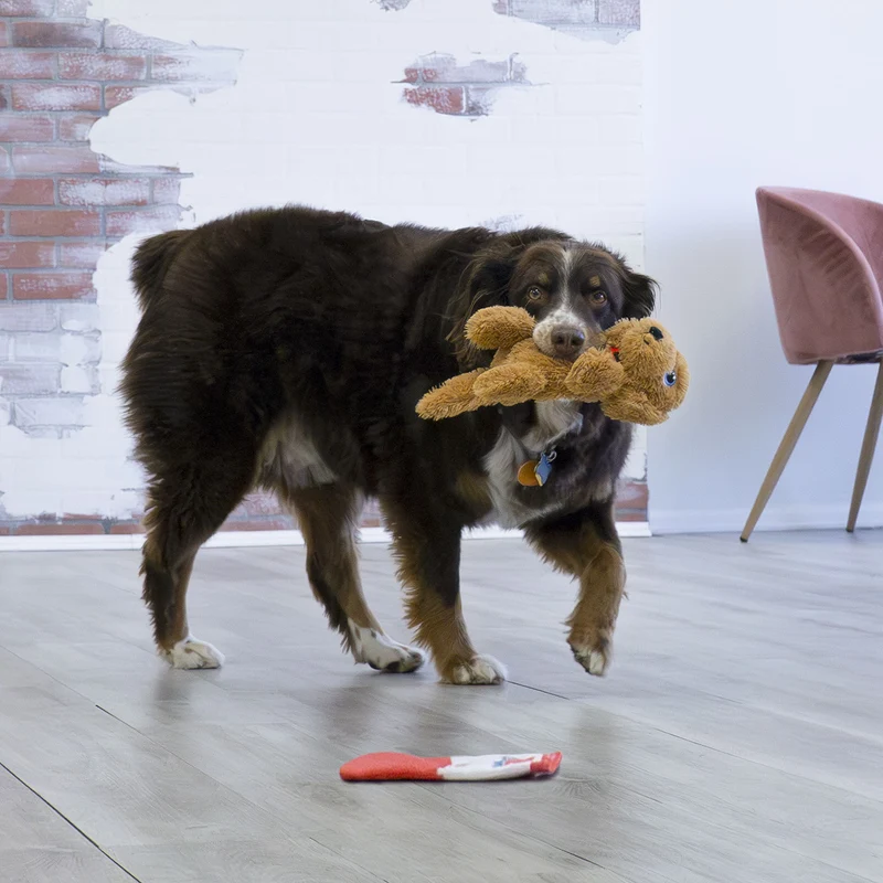 Hundespielzeug KONG® Comfort Pups