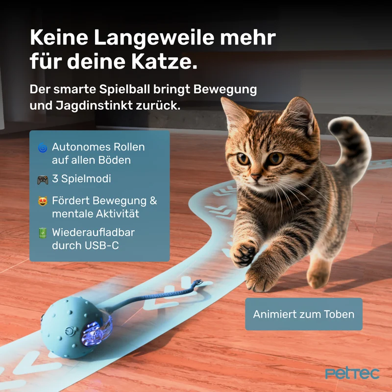 Pet Toy Interactive Ball