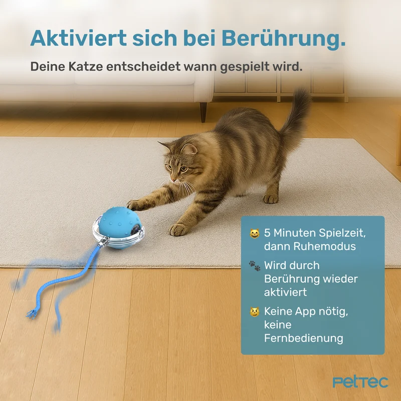 Pet Toy Interactive Ball