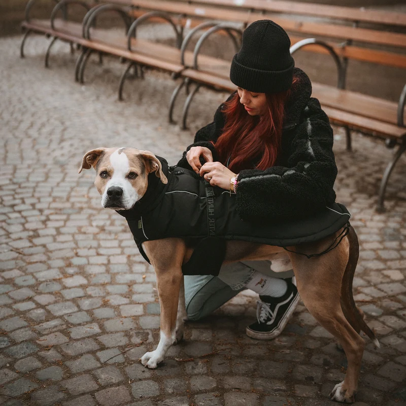 Hundemantel Paxson