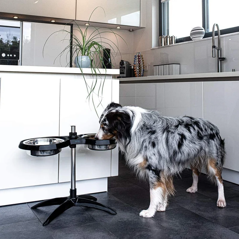 PetTec Doggy Bar Schwarz