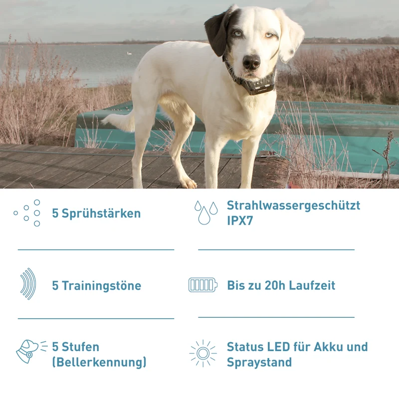 PetTec Antibell Spray- und Ton Trainer Pro inkl. Citronella-Spray