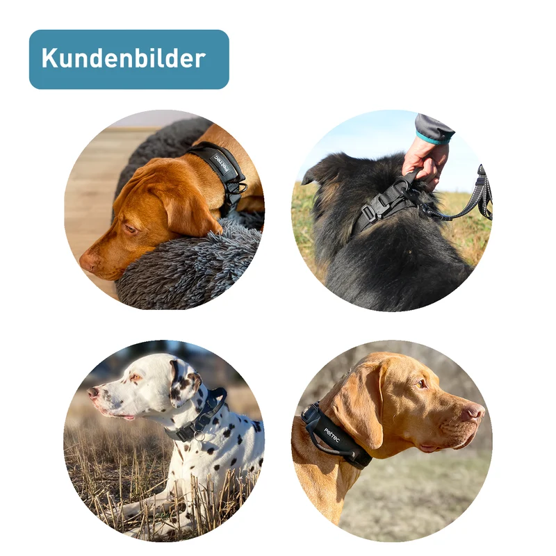 PetTec Hundehalsband aus Neopren & Nylon, schwarz