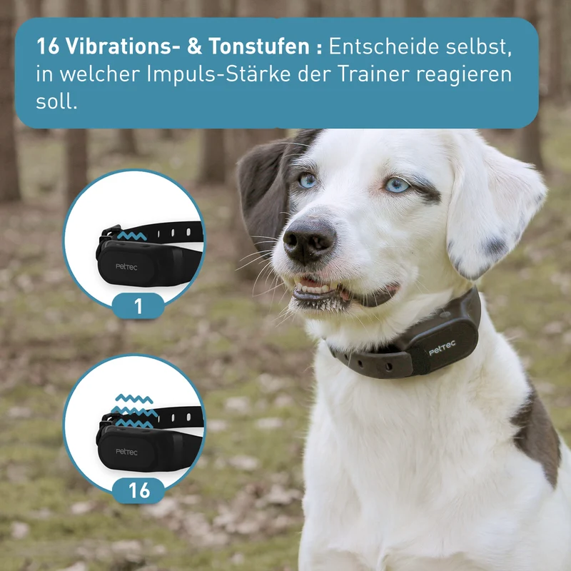 PetTec Ton- & Vibrations Trainer mit Fernbedienung
