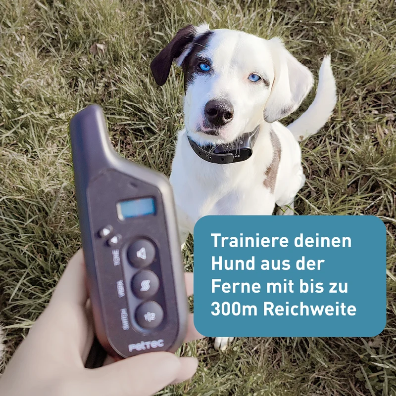 PetTec Ton- & Vibrations Trainer mit Fernbedienung