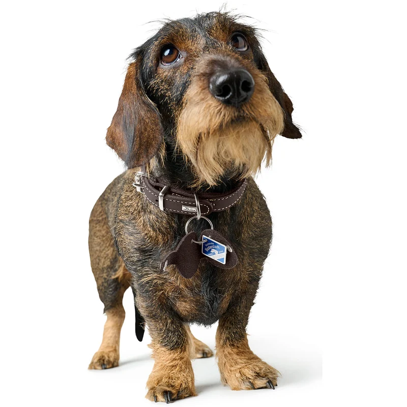 Anhänger Hundemarken-Etui Aalborg