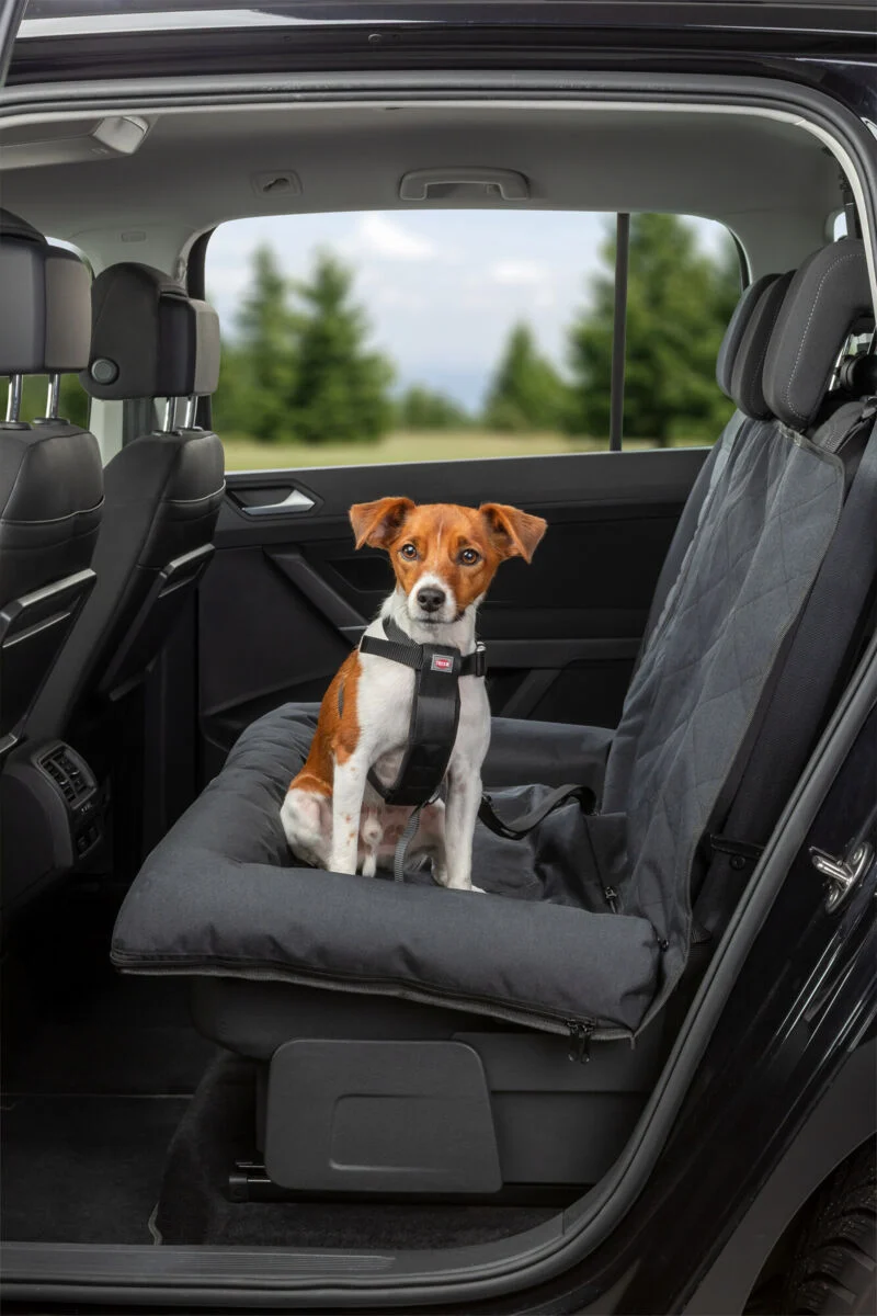 Hunde-Autokissen für Rückbank mit weichem Rand und Gurtdurchführung