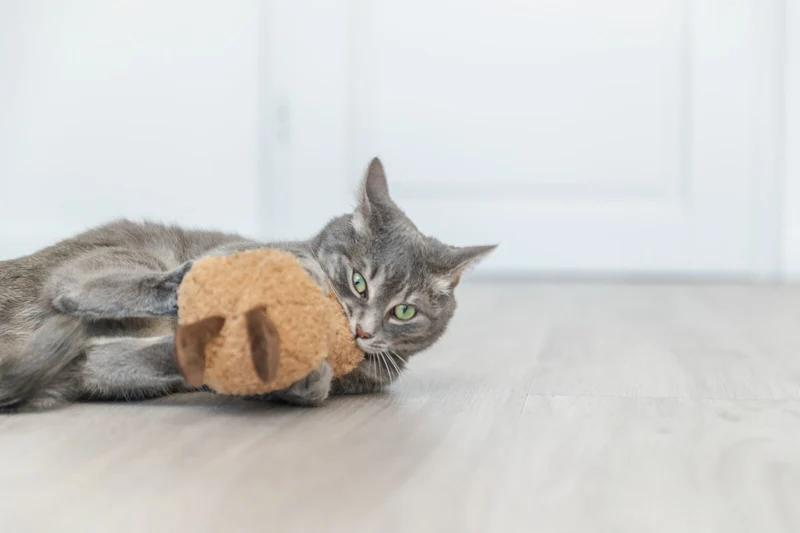 XXL Plüsch-Erdnuss mit Gesicht und USA-Katzenminze für große Katzen