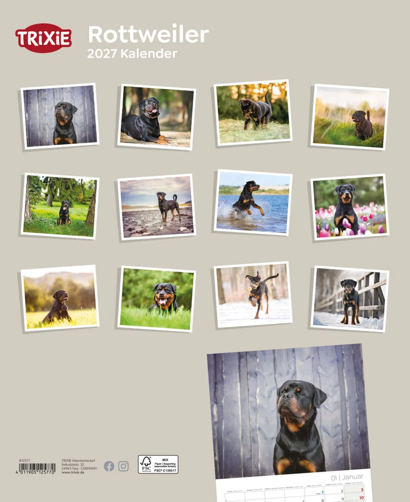 Kalender Rottweiler