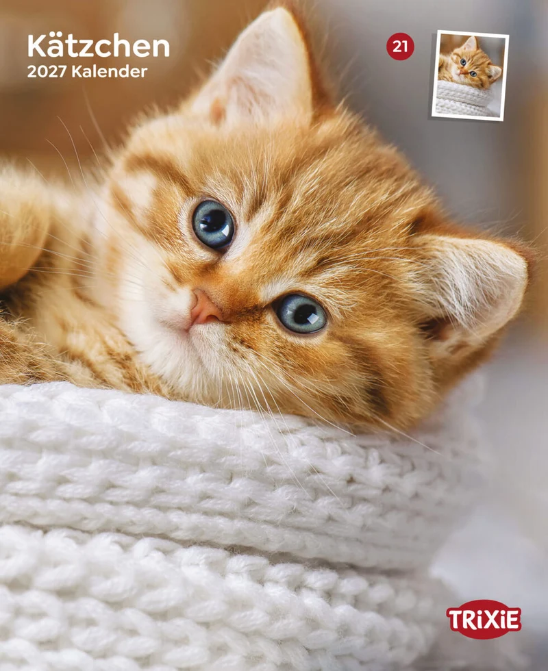Kalender Kätzchen