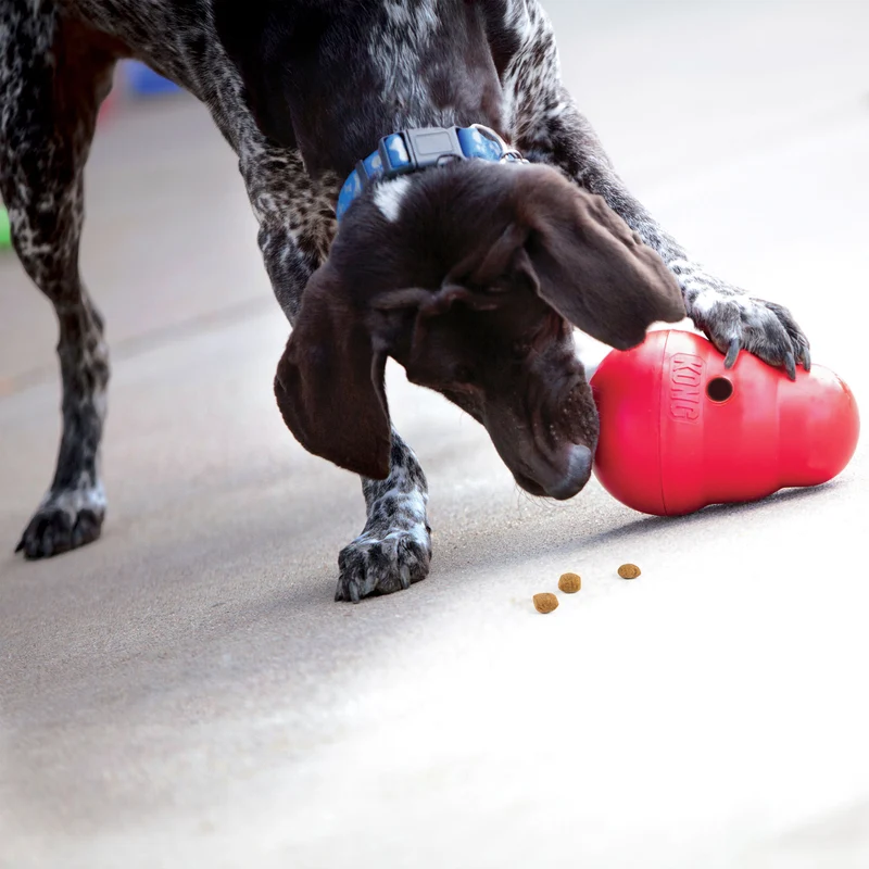Hundespielzeug KONG® Wobbler™