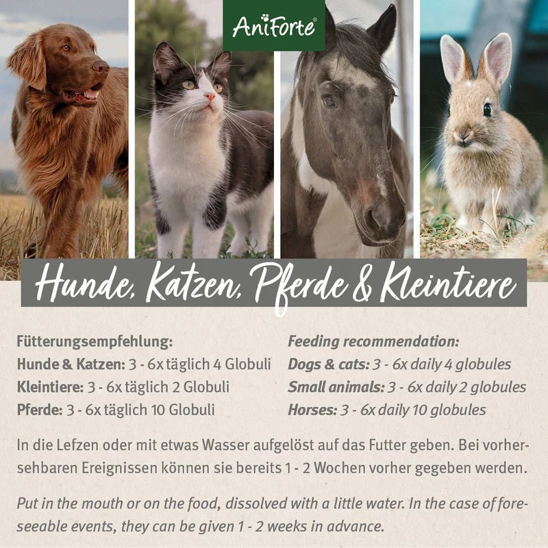 AniForte Bachblüten Wohlfühl Globuli für Hunde & Katzen 15 g