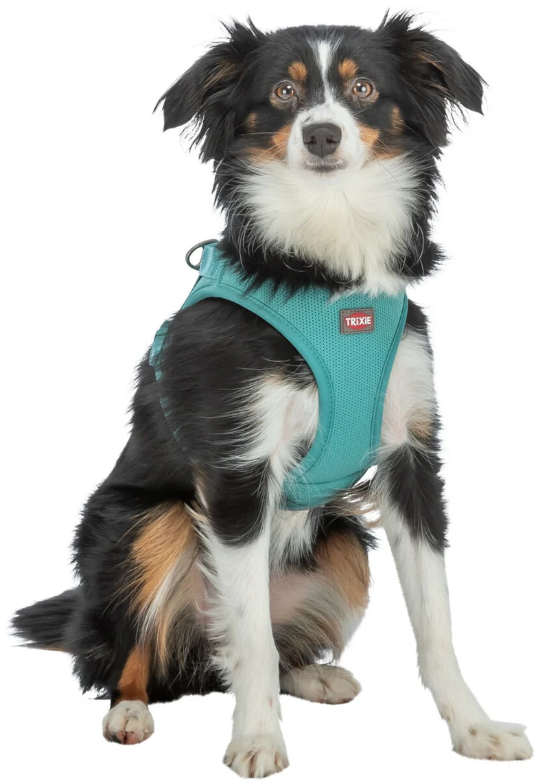 Atmungsaktives Hundegeschirr Premium UrbanVest mit verstellbarem Bauchgurt
