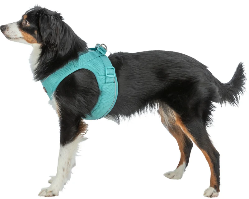 Atmungsaktives Hundegeschirr Premium UrbanVest mit verstellbarem Bauchgurt