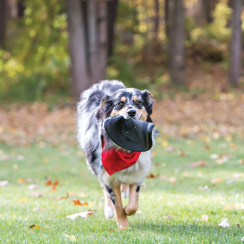 Hundespielzeug KONG® Extreme Flyer