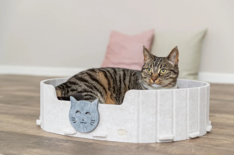 Katzenbett Emelie aus Filz