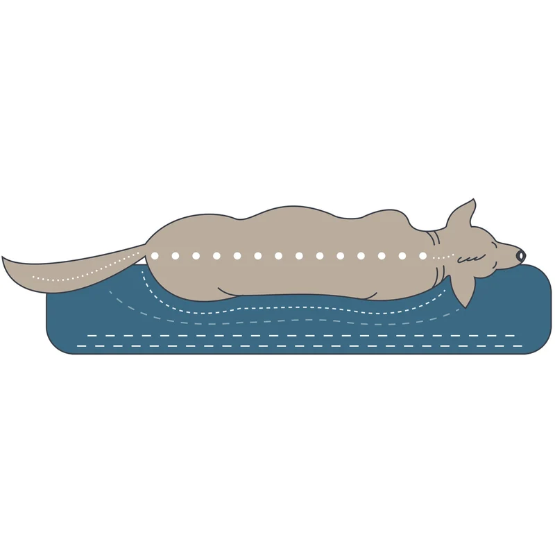 Orthopädisches/Ergonomisches Hundesofa Livingston