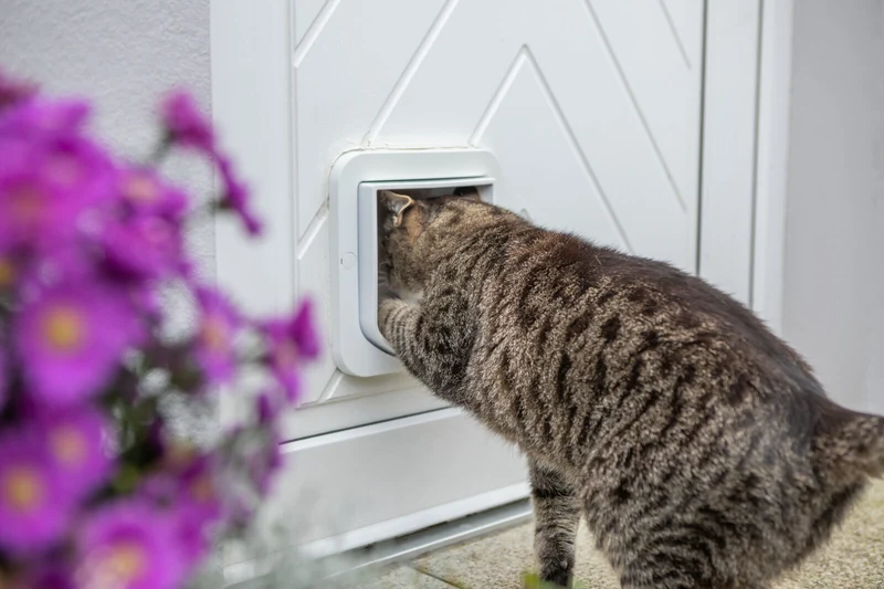 ZeroMOUSE – Smarter Beute-Stopper für bestehende Katzenklappen