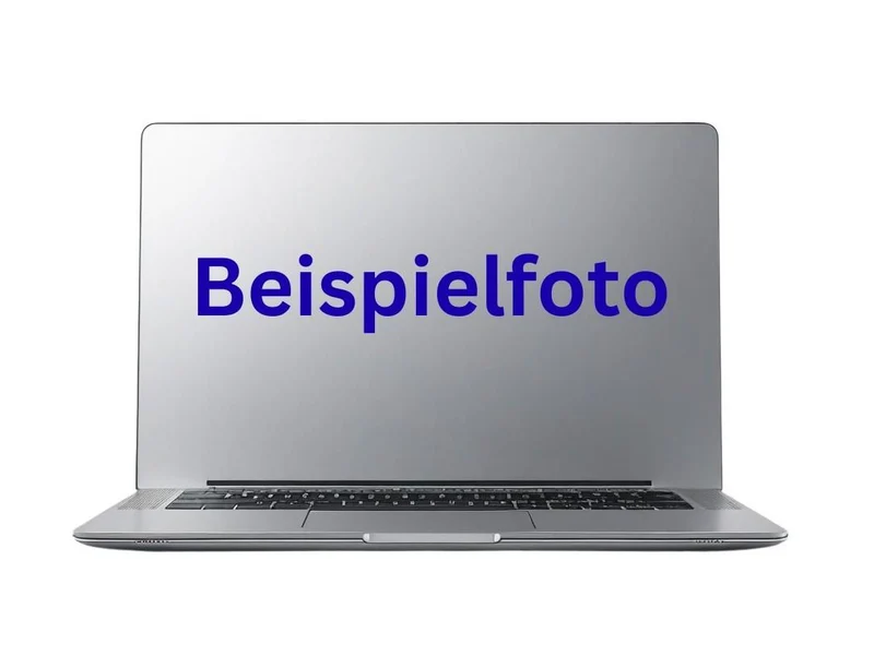 IdeaPad 15,6 Zoll 8GB/256GB Grau