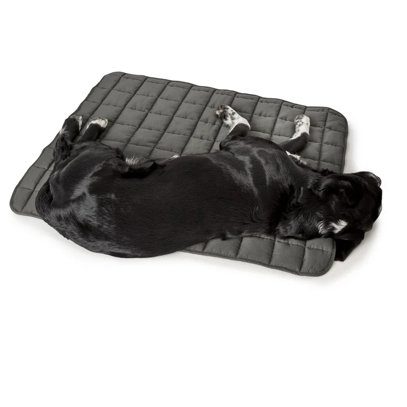 Hundedecke Hamilton