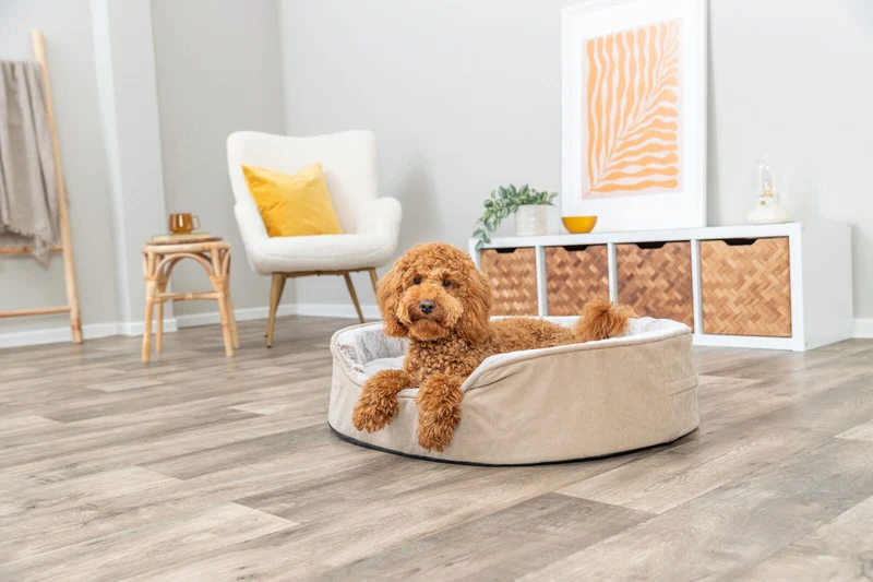 Vital Bett Lino Soft