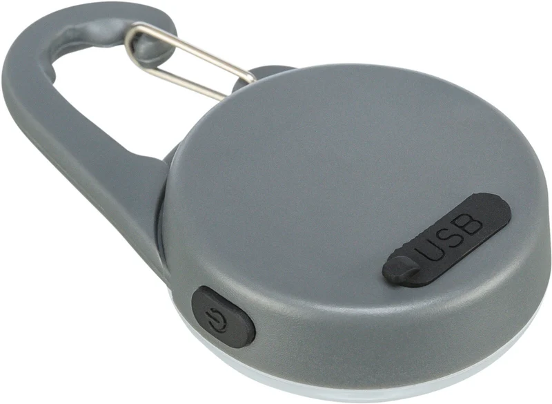 USB Flasher für Hunde