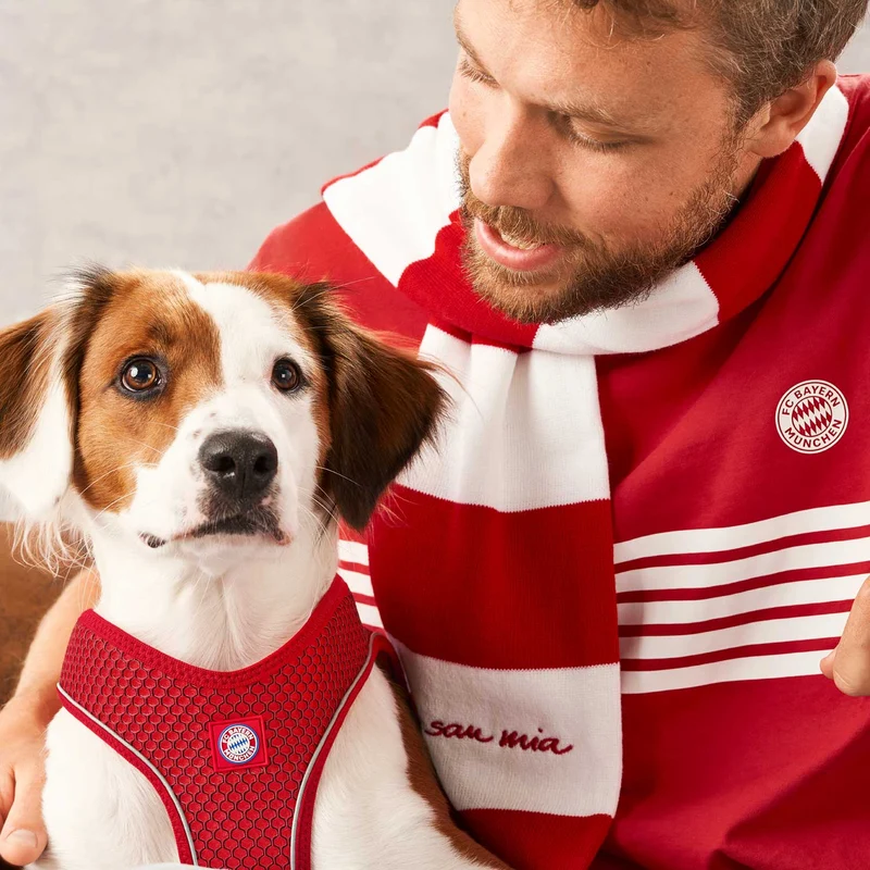 Geschirr Hilo Comfort FC Bayern München
