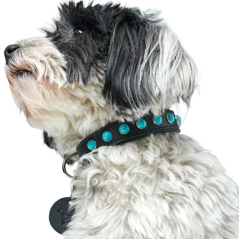 Halsband Modica