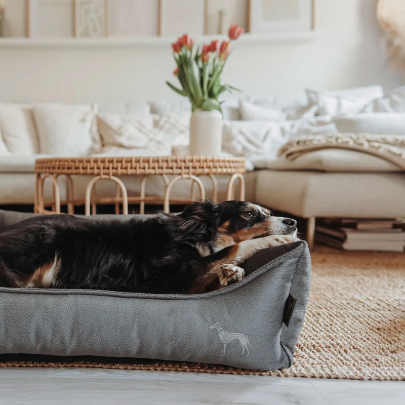 Orthopädisches/Ergonomisches Hundesofa Merida