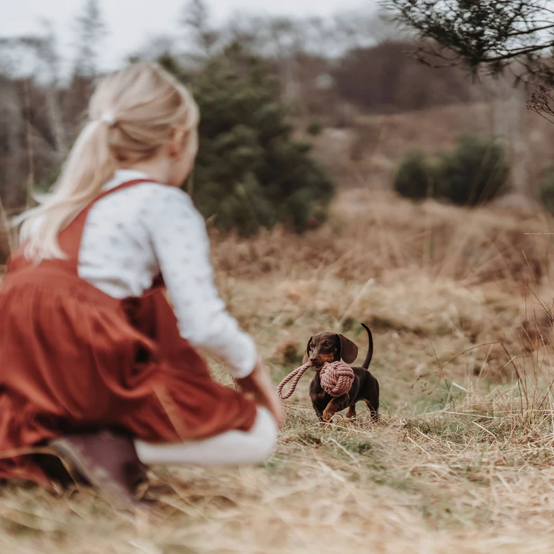 Hundespielzeug Inari