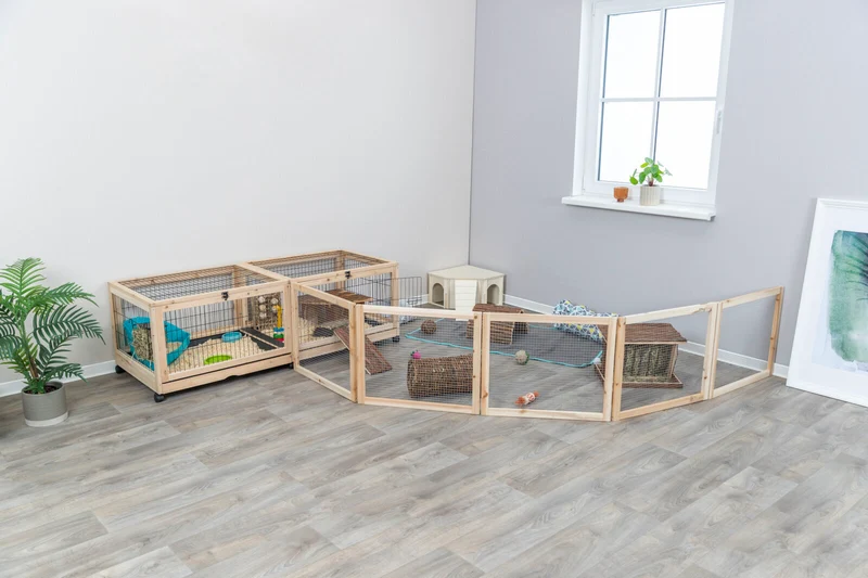 Indoor Freilaufgehege
