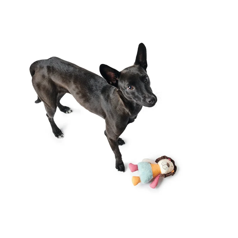 Hunter Hundespielzeug Muli