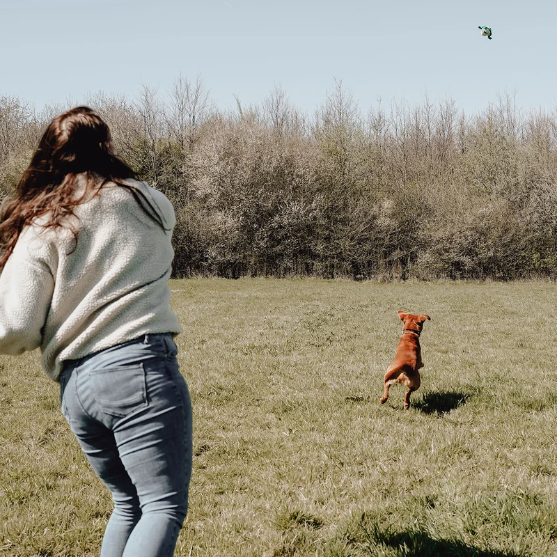Wurf-Hundespielzeug FLINGERZ™ Splash