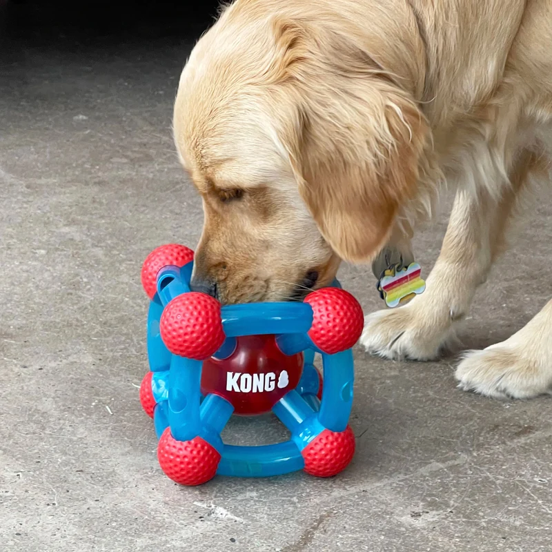 Hundespielzeug KONG® Rewards Tinker