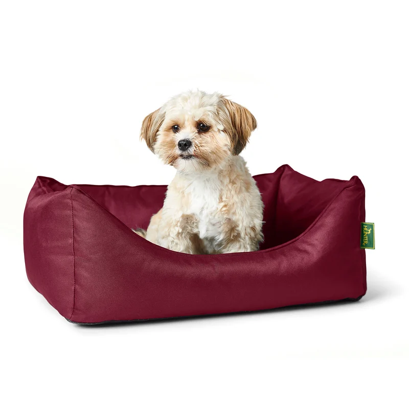 Orthopädisches/Ergonomisches Hundesofa Cleveland
