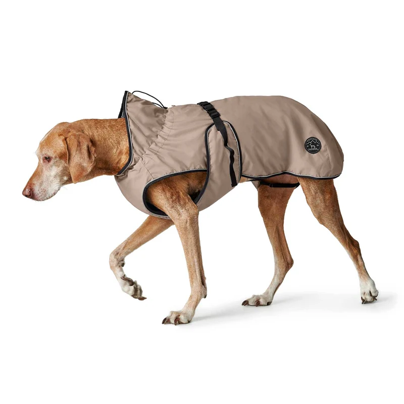 Hundemantel Uppsala